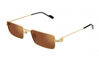 CARTIER CT0501S -...